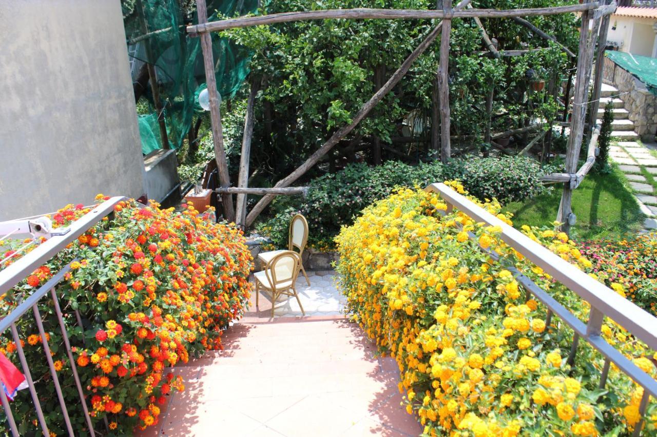 Casa Vacanze Chery Sorrent Exterior foto