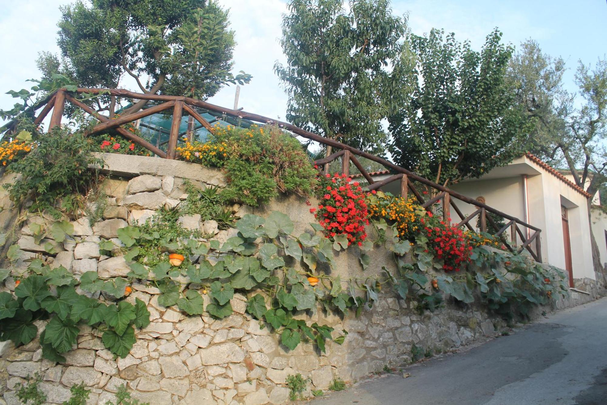Casa Vacanze Chery Sorrent Exterior foto